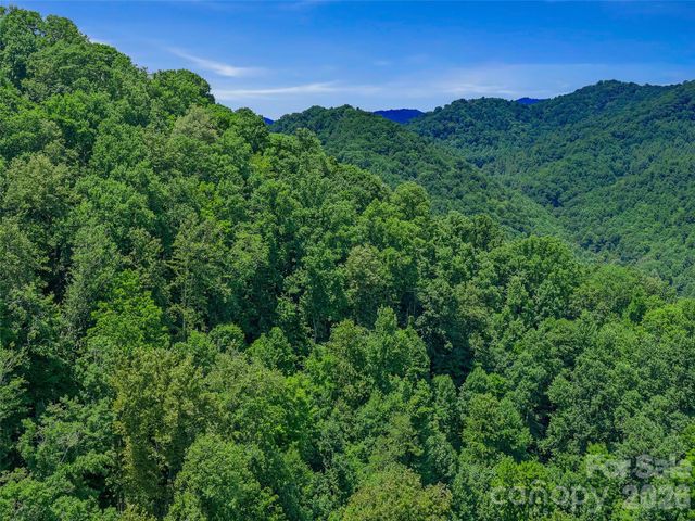000 Cove Mountain Road, Burnsville, NC 28714