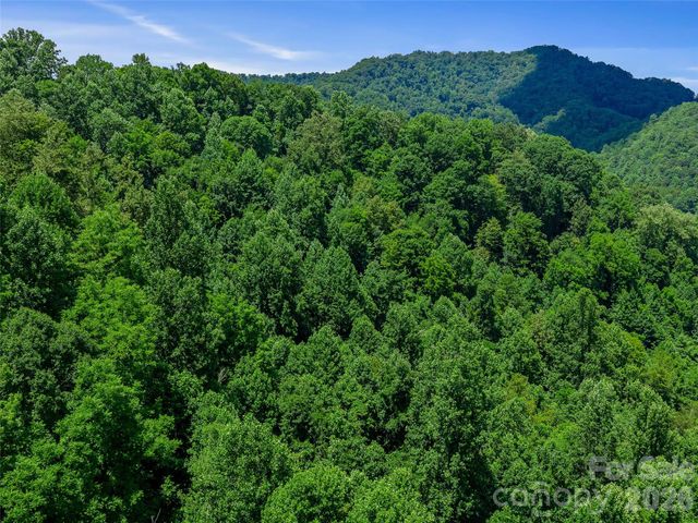 000 Cove Mountain Road, Burnsville, NC 28714