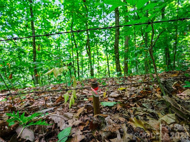 000 Cove Mountain Road, Burnsville, NC 28714