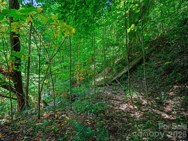 000 Cove Mountain Road, Burnsville, NC 28714