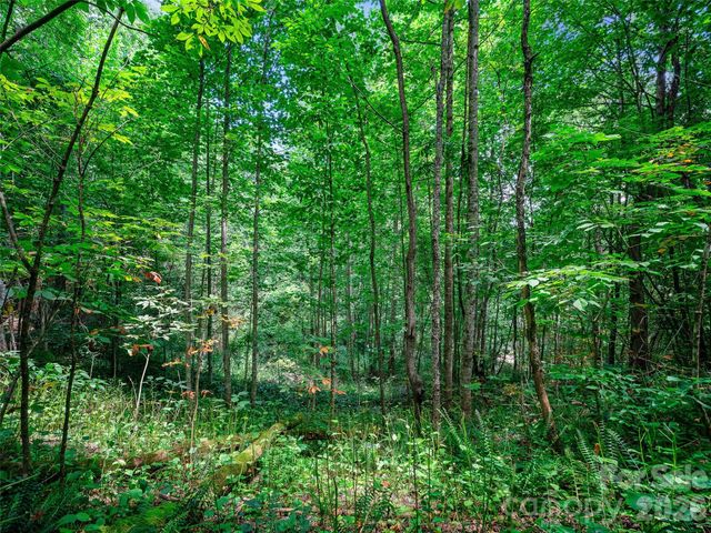 000 Cove Mountain Road, Burnsville, NC 28714