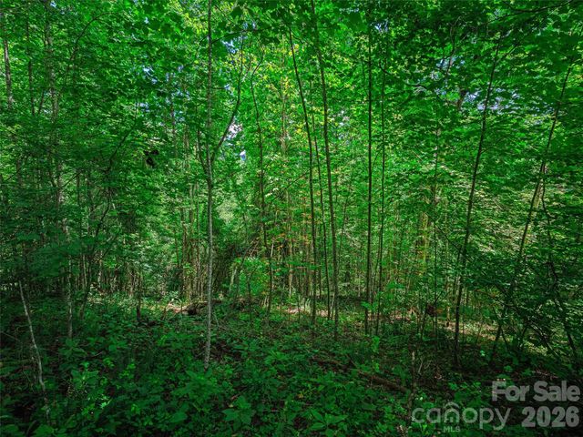 000 Cove Mountain Road, Burnsville, NC 28714