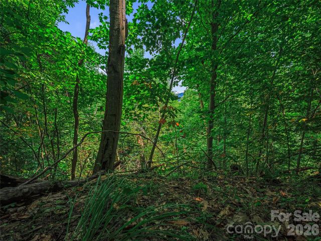 000 Cove Mountain Road, Burnsville, NC 28714