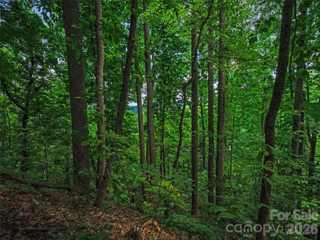 000 Cove Mountain Road, Burnsville, NC 28714