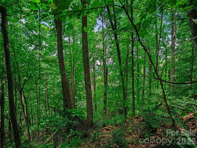 000 Cove Mountain Road, Burnsville, NC 28714