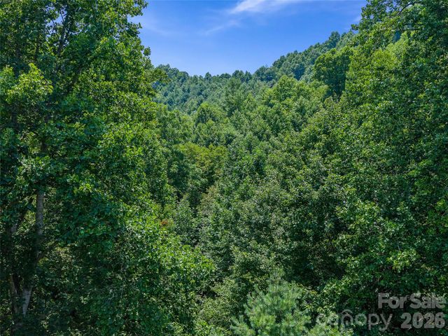 000 Cove Mountain Road, Burnsville, NC 28714