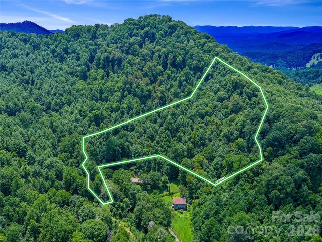 000 Cove Mountain Road, Burnsville, NC 28714