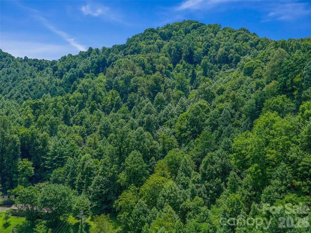 000 Cove Mountain Road, Burnsville, NC 28714