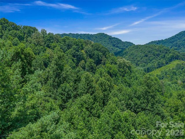 000 Cove Mountain Road, Burnsville, NC 28714