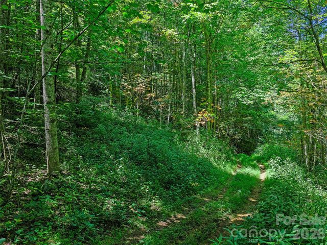 000 Cove Mountain Road, Burnsville, NC 28714