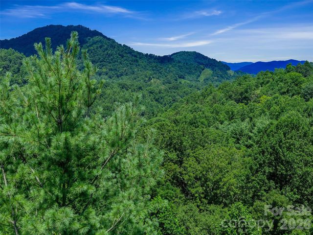 000 Cove Mountain Road, Burnsville, NC 28714