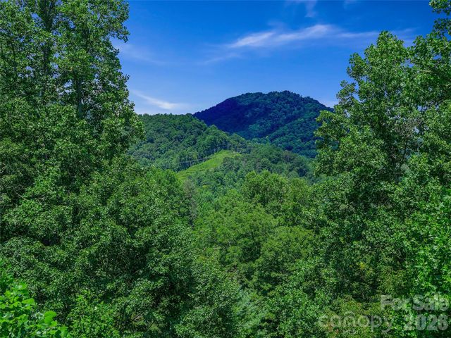 000 Cove Mountain Road, Burnsville, NC 28714