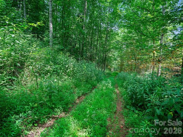 000 Cove Mountain Road, Burnsville, NC 28714