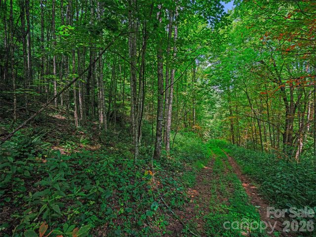 000 Cove Mountain Road, Burnsville, NC 28714