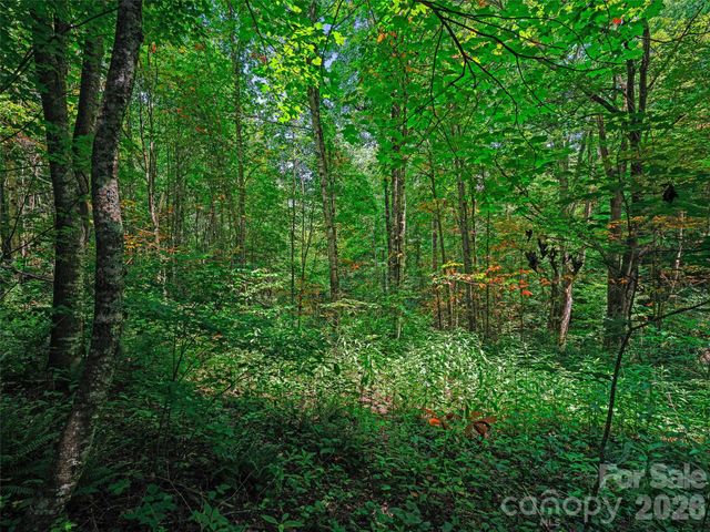 000 Cove Mountain Road, Burnsville, NC 28714