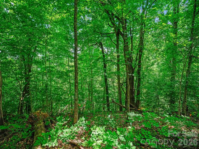 000 Cove Mountain Road, Burnsville, NC 28714
