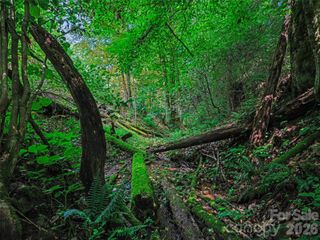 000 Cove Mountain Road, Burnsville, NC 28714