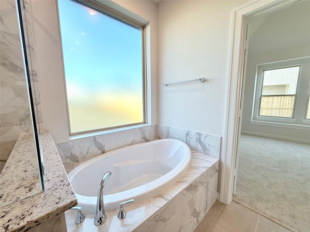 18130 Sunlit Oasis Drive, Webster, TX 77598
