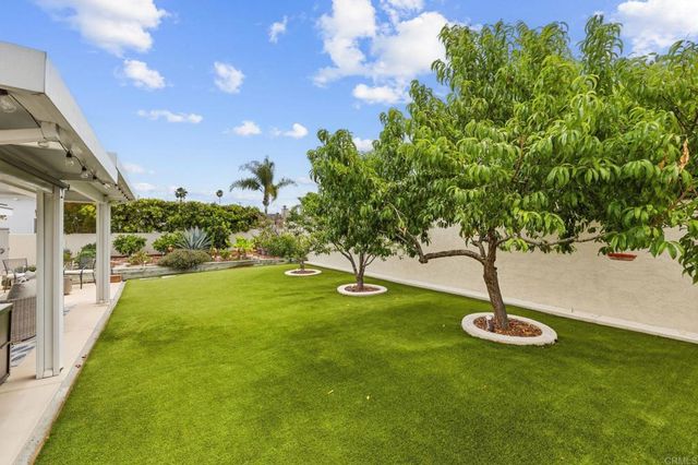 4259 Mount Henry, San Diego, CA 92117