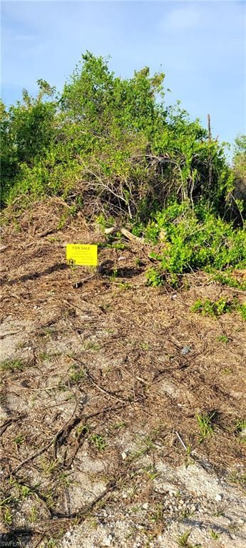 925 MACY ST E, LEHIGH ACRES, FL 33974 — photo 3