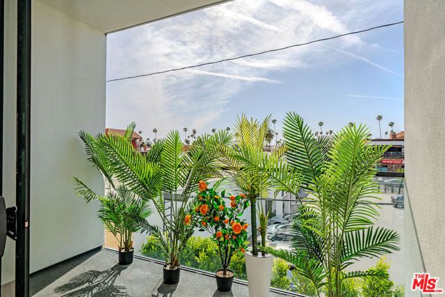 321 S Oxford Avenue 203, Los Angeles, CA 90010