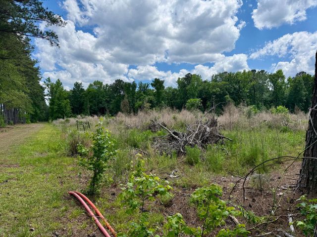 337 Weathers Farm Road, Bowman, SC 29018