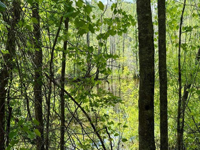 337 Weathers Farm Road, Bowman, SC 29018