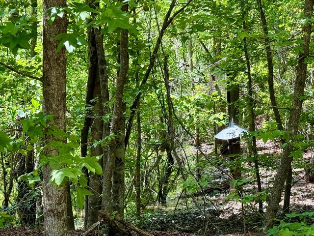 337 Weathers Farm Road, Bowman, SC 29018