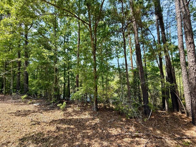 337 Weathers Farm Road, Bowman, SC 29018