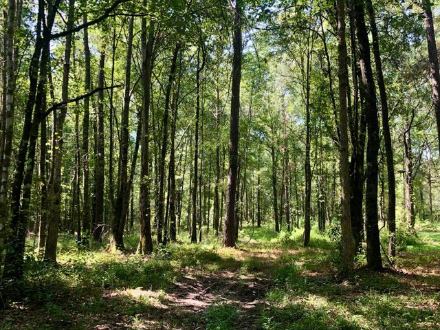 337 Weathers Farm Road, Bowman, SC 29018