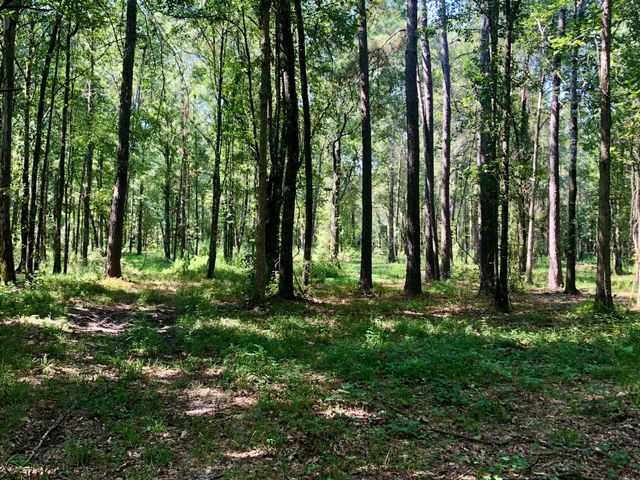 337 Weathers Farm Road, Bowman, SC 29018