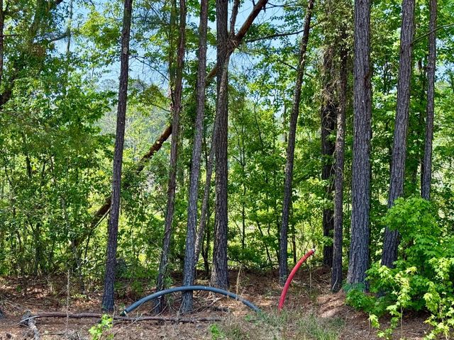 337 Weathers Farm Road, Bowman, SC 29018