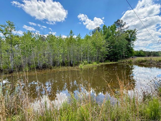 337 Weathers Farm Road, Bowman, SC 29018
