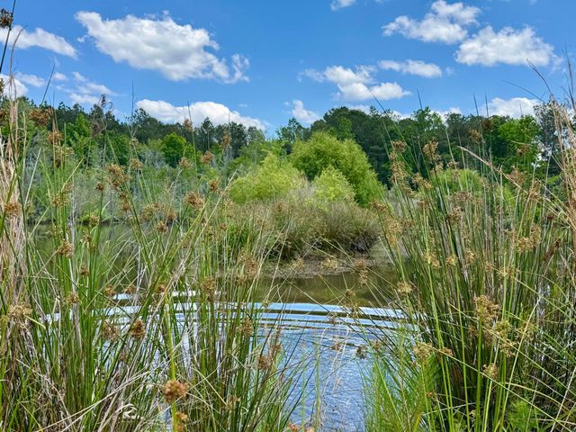 337 Weathers Farm Road, Bowman, SC 29018