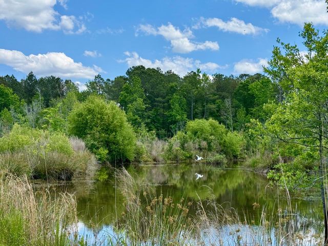 337 Weathers Farm Road, Bowman, SC 29018