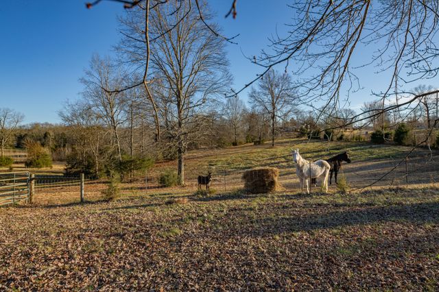 2380 Beasley Ln, Columbia, TN 38401