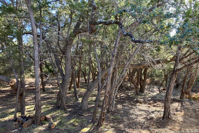 1595 Rocky Ridge Loop, Canyon Lake, TX 78133