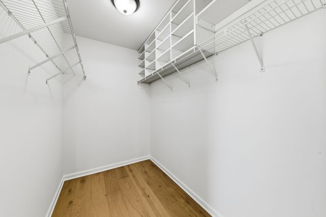 203 Trophy Ct, Thompsons Station, TN 37179