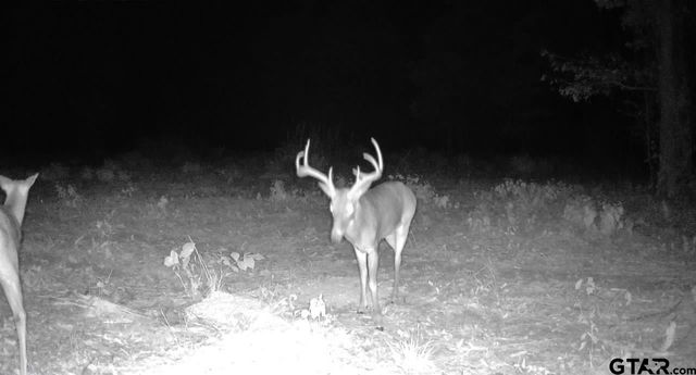 97 CR 2640, Mount Pleasant, TX 75455