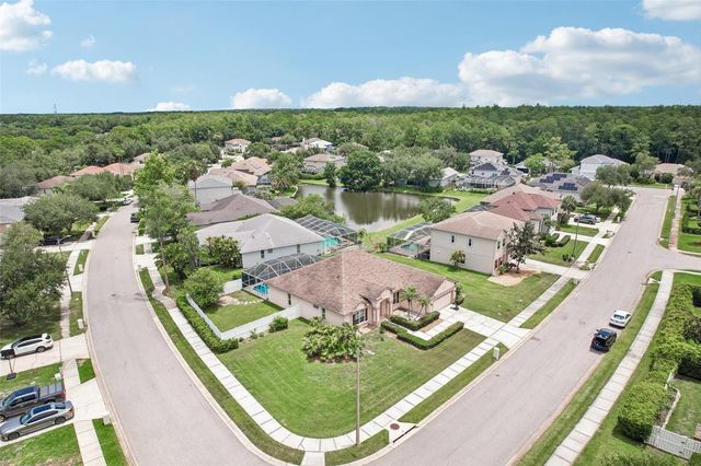 1008 ROBINWOOD DRIVE, Oldsmar, FL 34677