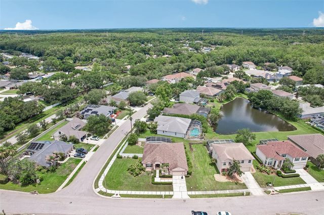 1008 ROBINWOOD DRIVE, Oldsmar, FL 34677