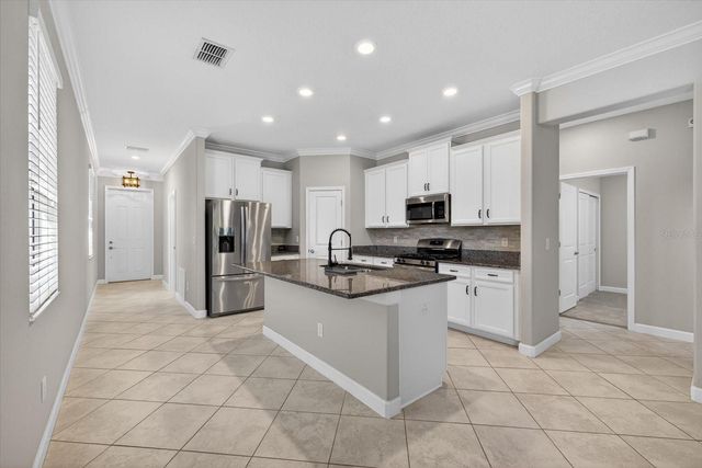 4486 TUBULAR RUN, Land O Lakes, FL 34638