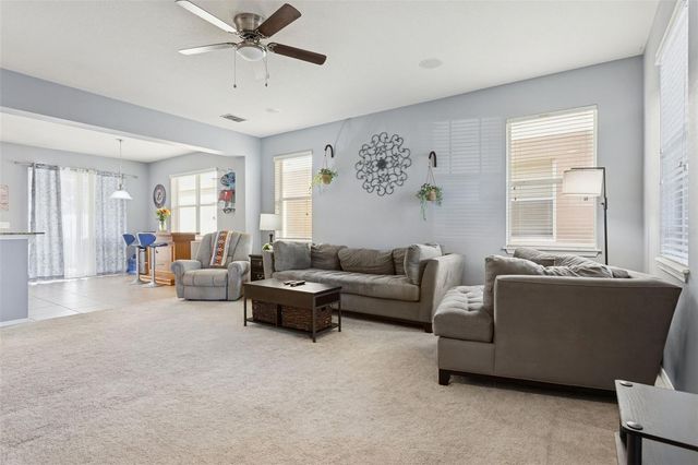 9205 ENGLISH OAKS LANE, Riverview, FL 33578