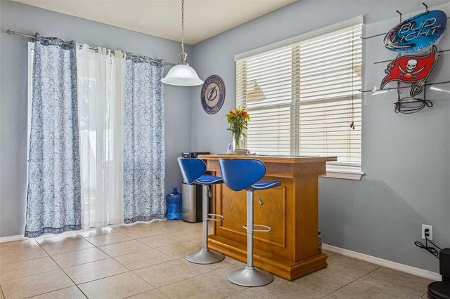 9205 ENGLISH OAKS LANE, Riverview, FL 33578