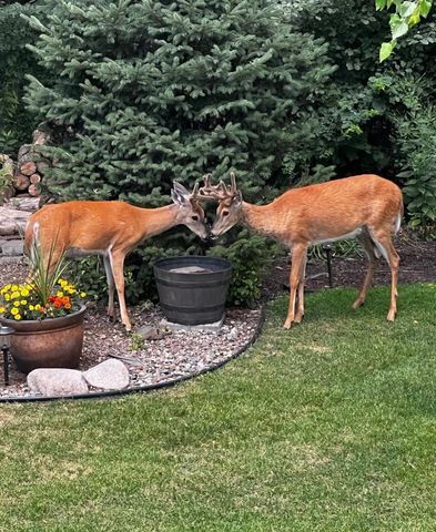 17990 Nixon Drive NW, Elk River, MN 55330