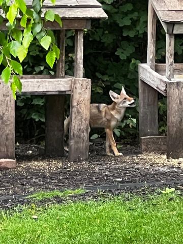 17990 Nixon Drive NW, Elk River, MN 55330