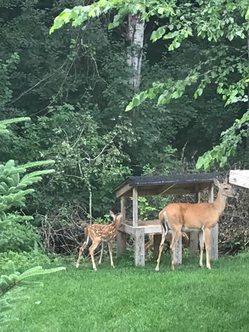 17990 Nixon Drive NW, Elk River, MN 55330