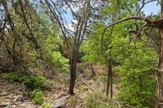 1977 Pinotage, New Braunfels, TX 78132