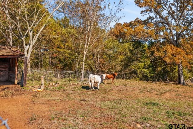 7793 US-80, Hawkins, TX 75765