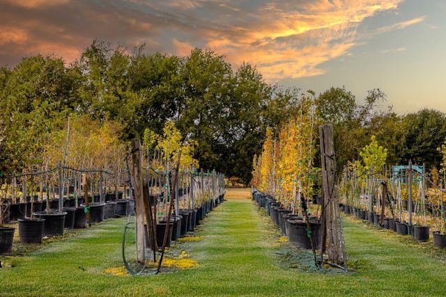 3100 Trails End Lane, Brenham, TX 77833